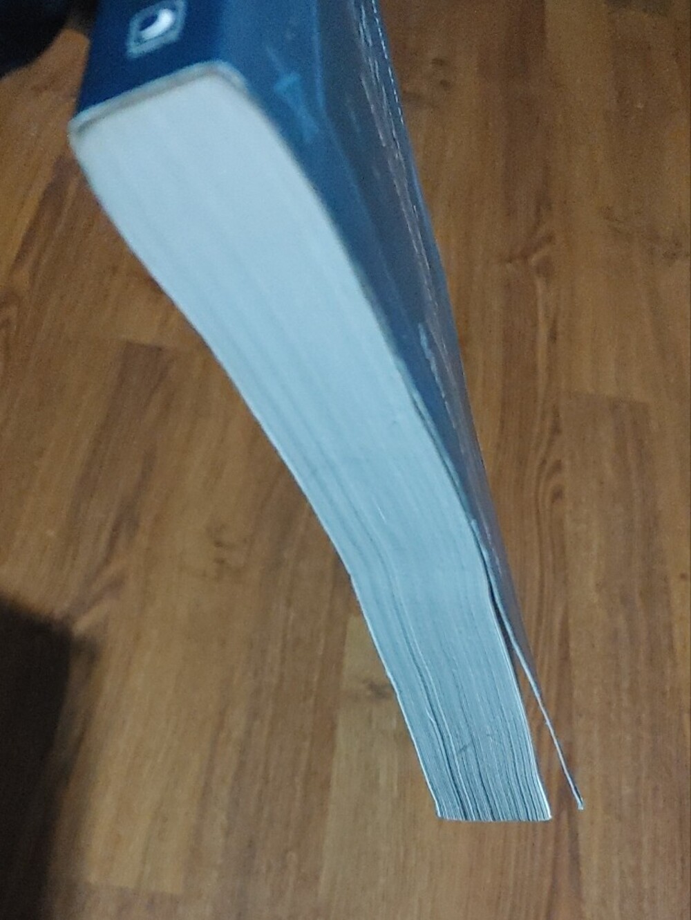 To Ride a Silver Broomstick Book - Picture 4 of 7